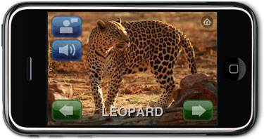 Leopard
