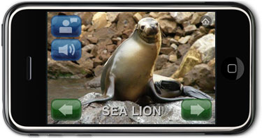 Sea Lion